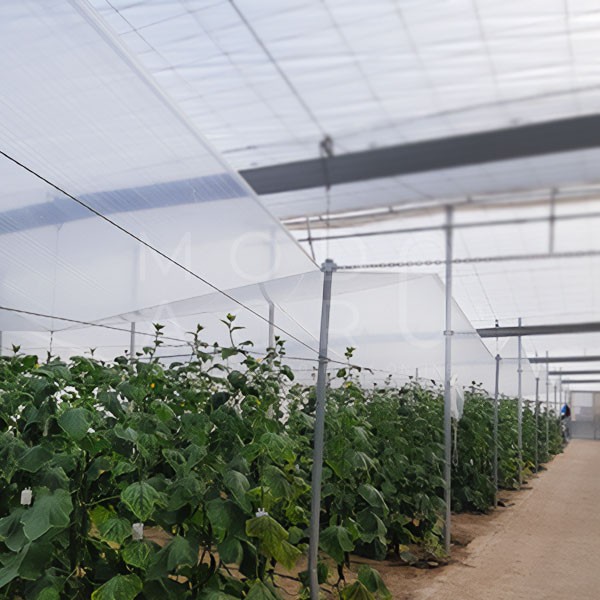 Plástico agricultura 150...