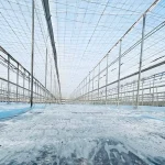 5 Tips para la Solarización de Suelos Agrícolas