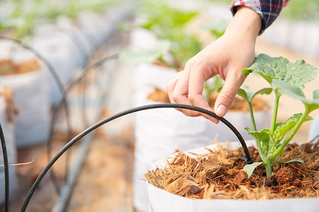 Aplicacion Fertilizantes Fertiirrigación Modo Agro
