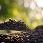 Diferencias entre fertilizantes químicos y orgánicos
