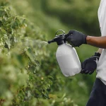 Importancia de los fertilizantes en la agricultura moderna