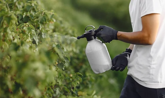 Importancia de la Aplicación de Fertilizantes Modo Agro