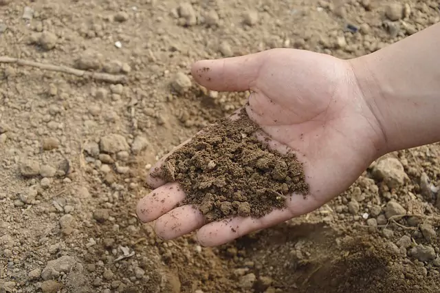 Foto Analisis Fertilizantes Modoagro