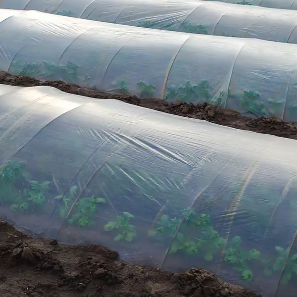 Plastico Invernadero 600 Galgas Especial Mictrotunel Modoagro
