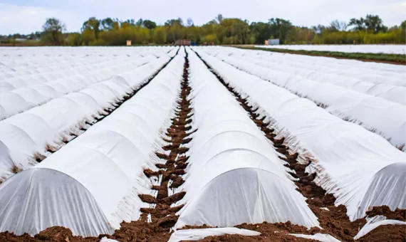 ¿Cómo proteger cultivos con manta térmica?ModoAgro