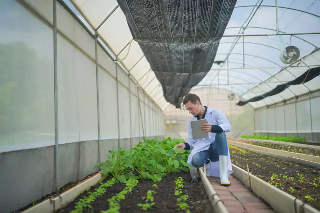 Composicion Quimica De Los Fertilizantes ModoAgro