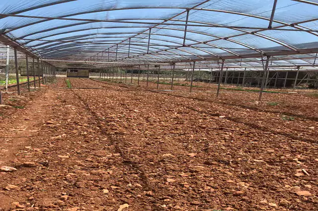 Estructura Malla Montar Un Huerto Sostenible Modoagro