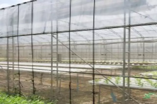 Malla Mosquitera Invernadero - ModoAgro