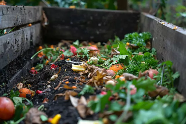 Compostaje y residuos organicos en maceta de madera Microfarming ModoAgro