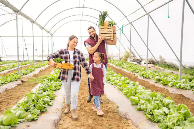 Beneficios económicos de tener un Huerto Urbano Modo Agro