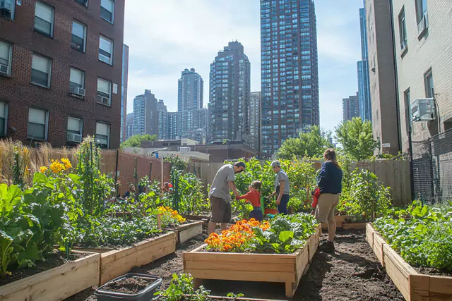 El origen del Microfarming en grandes ciudades mejorado espacios verdes modoagro