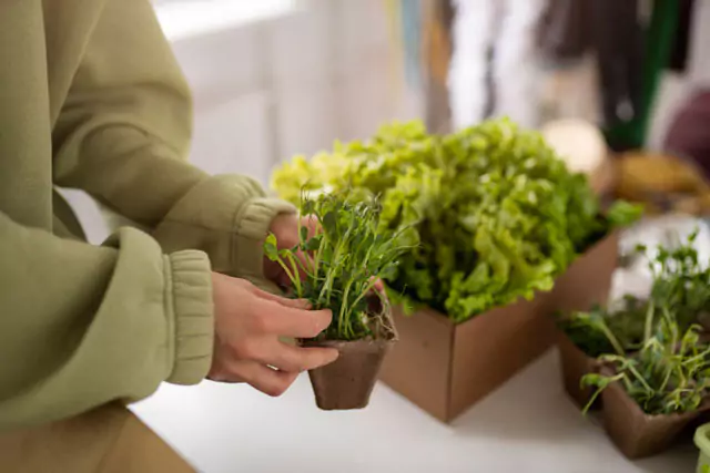 Caracteristicas del Microfarming ModoAgro