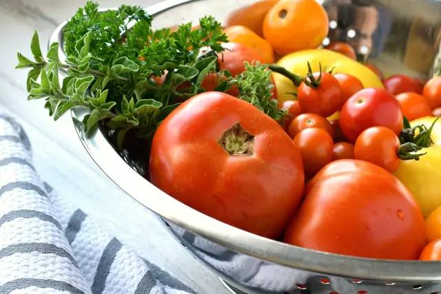 Huertos de comida en casa - Tomates recién cogidos de huerto Modo Agro