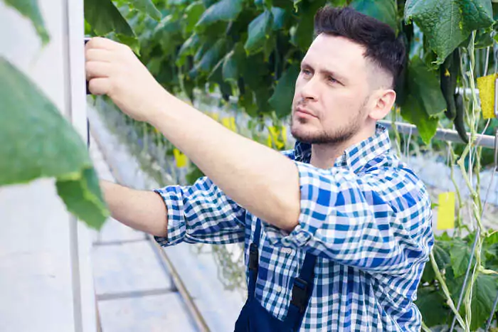 Mantenimiento y optimización de la ventilación Modo Agro
