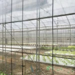 Tipos de Mallas de invernadero para cultivos especializados en España