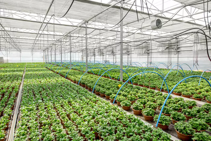 Sistemas de ventilación combinados para invernaderos Modo Agro