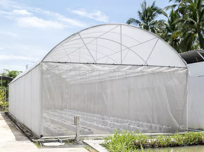 Tipos de mallas de invernadero para cultivos especializados - Modo Agro 