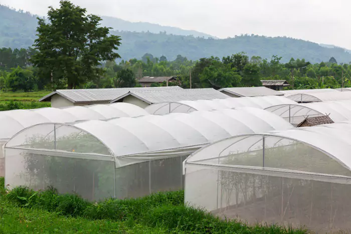 Aplicaciones de los tipos de mallas de invernaderos en cultivos especializados - Modo Agro