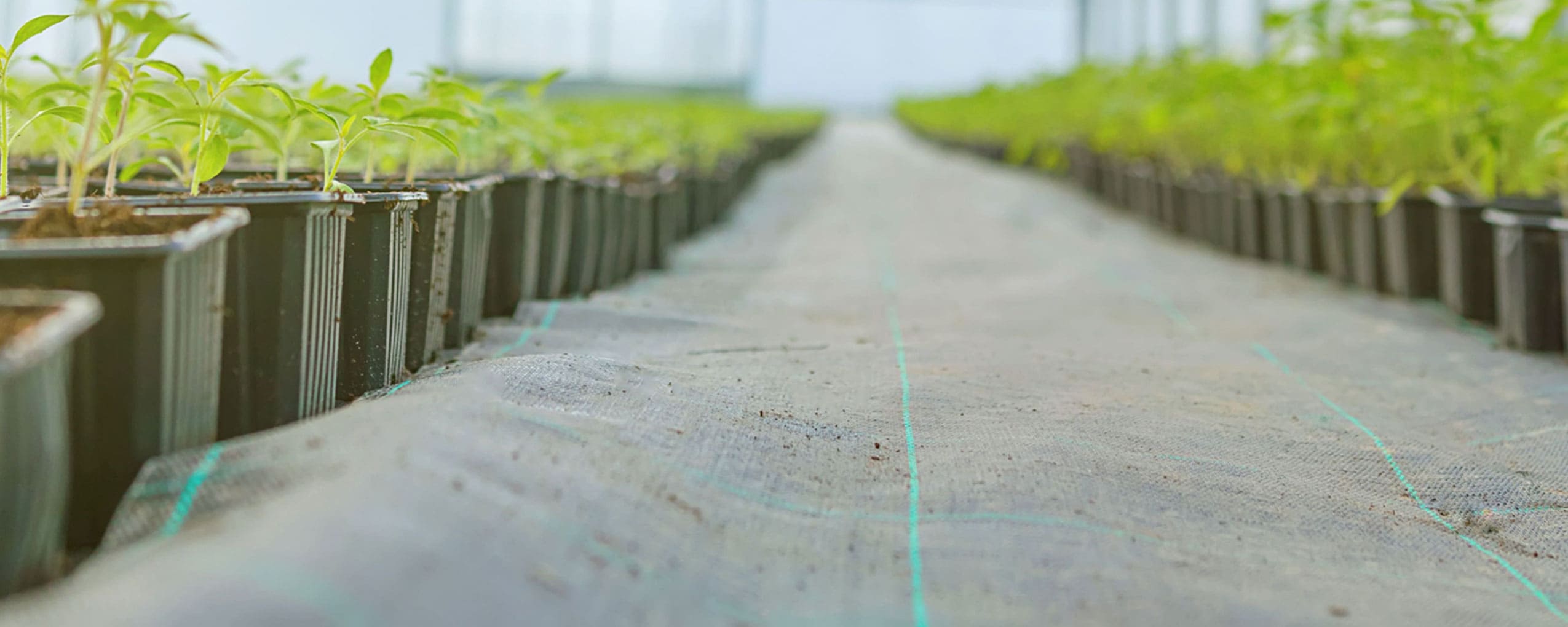 Agrotextiles Slide background